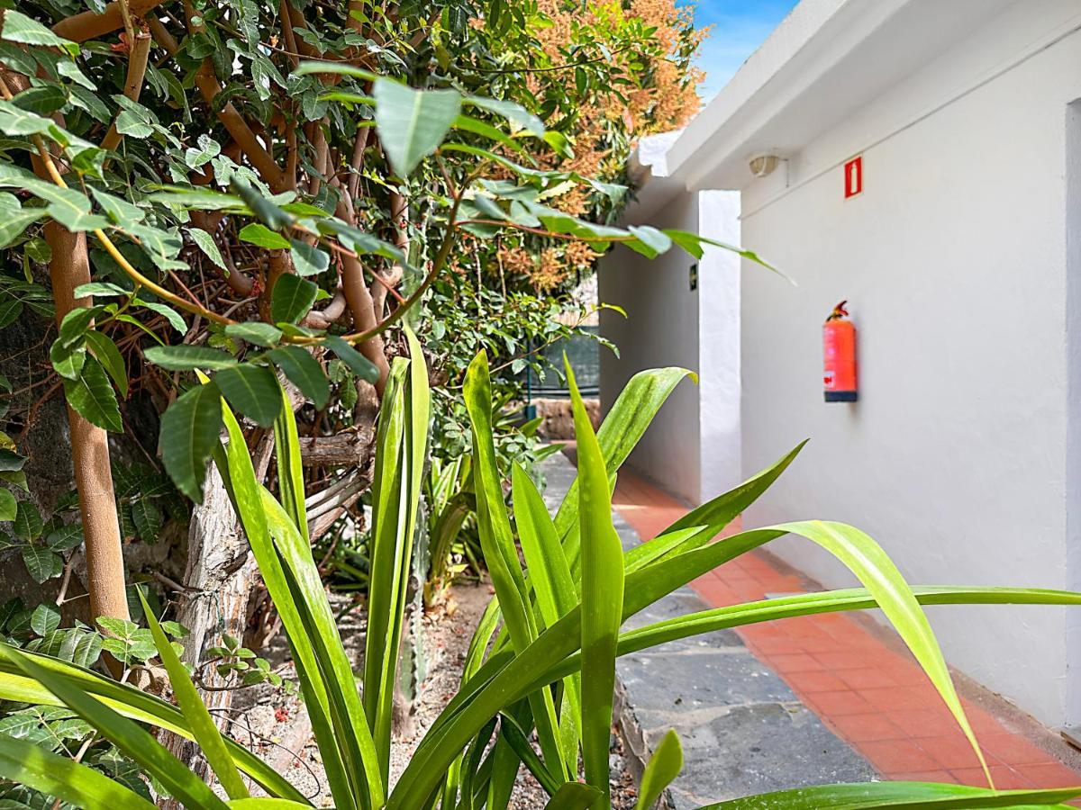 Apartamentos Laguna Πουέρτο Ρίκο Εξωτερικό φωτογραφία